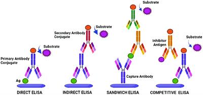 Recent advances and challenges in plant viral diagnostics